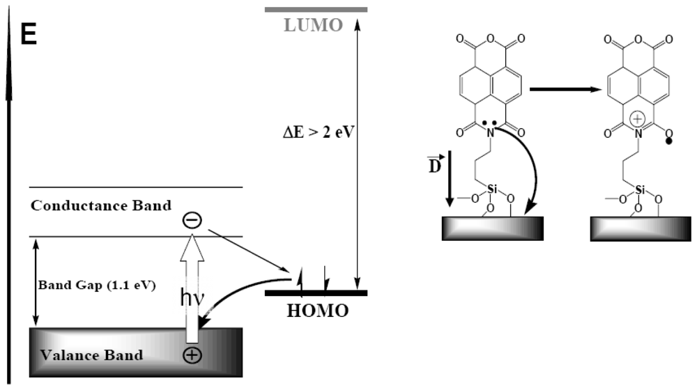 Ijms 12 00173f11 1024