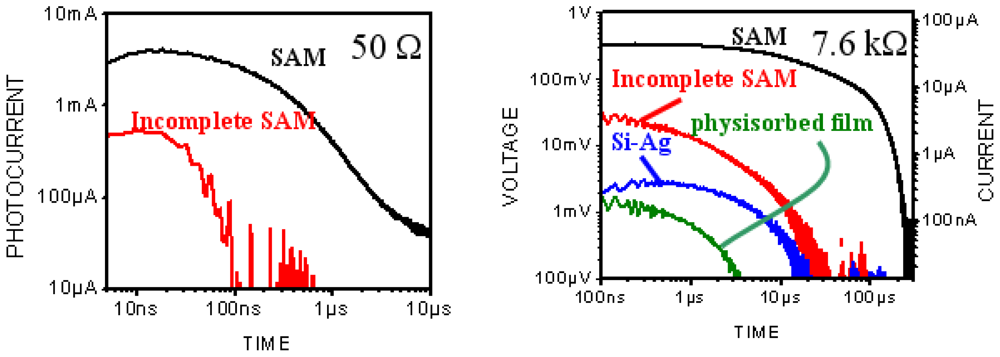 Ijms 12 00173f21 1024