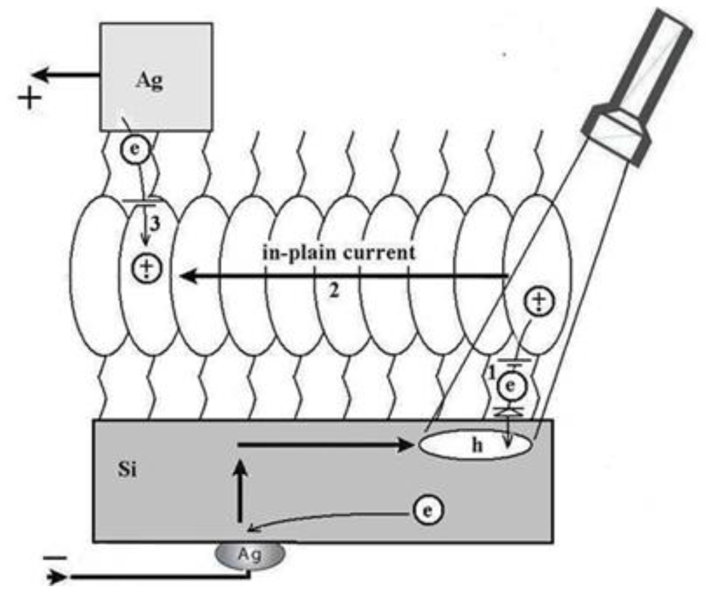 Ijms 12 00173f7 1024