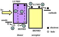 Ijms 12 00476f1 200