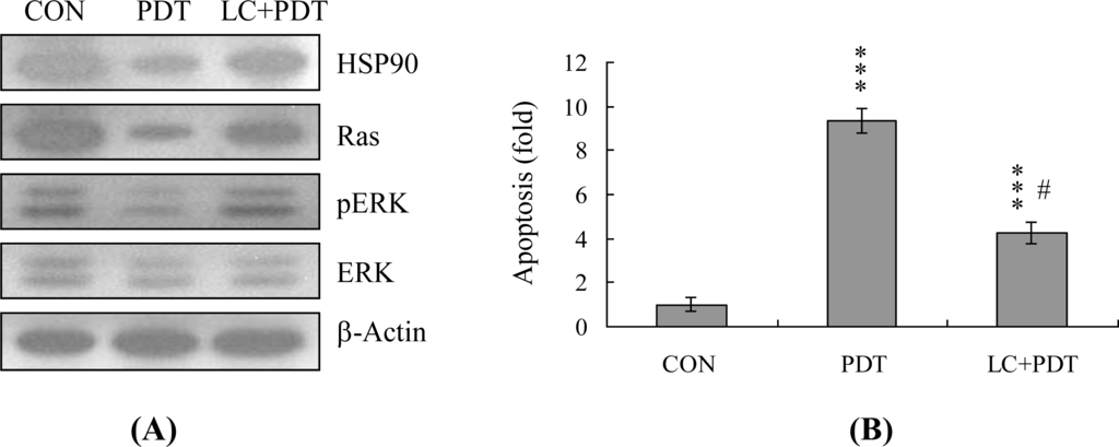 Ijms 12 01041f7 1024