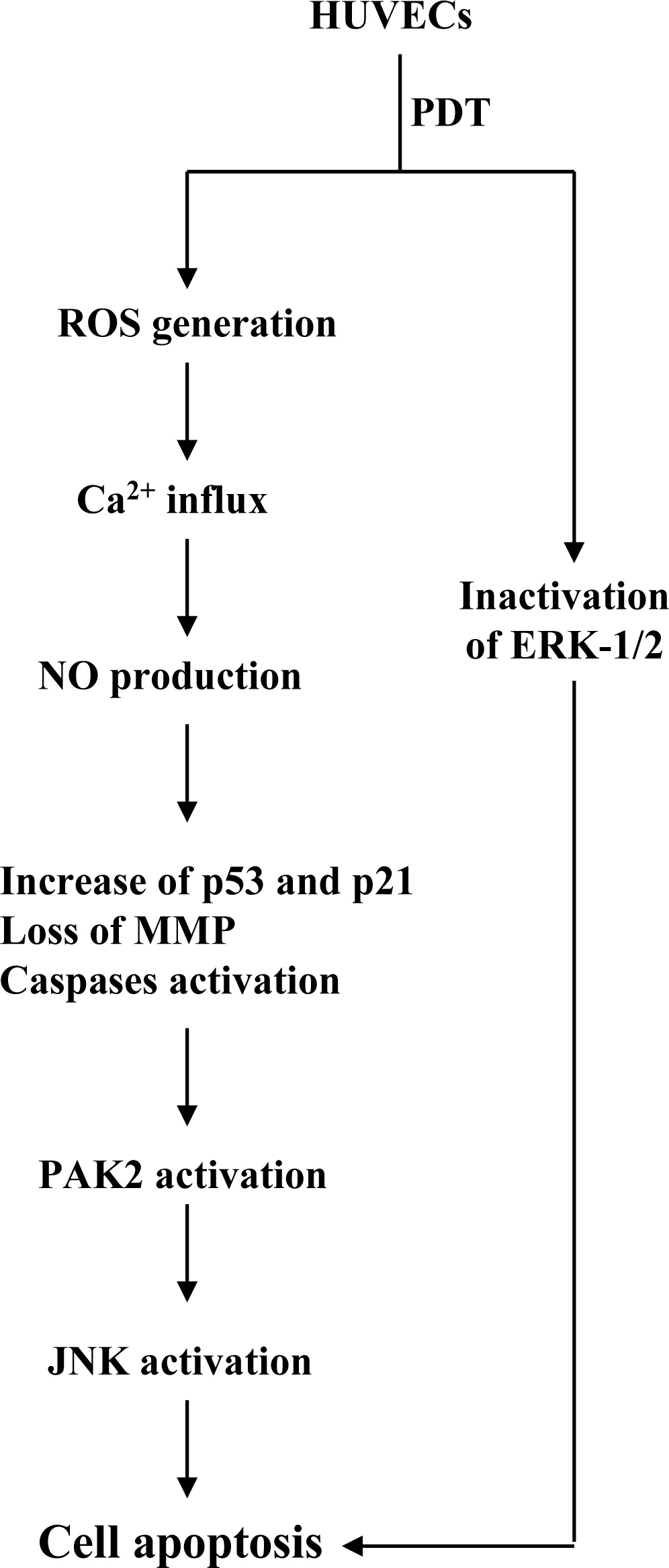 Ijms 12 01041f8 1024