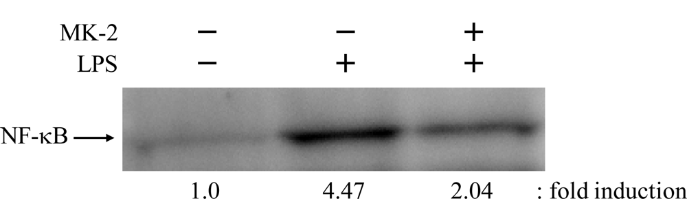 Ijms 12 01115f5 1024