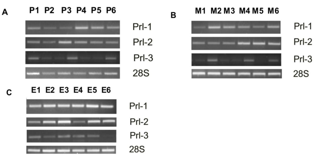 Ijms 12 01133f1a 1024