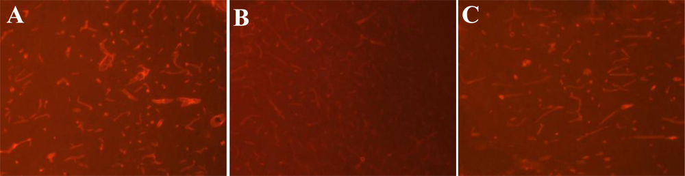 Ijms 12 01222f2 1024