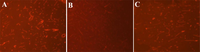 Ijms 12 01222f2 200
