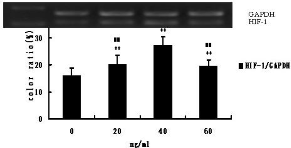 Ijms 12 01306f4 1024