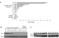 Ijms 12 01334f1 200