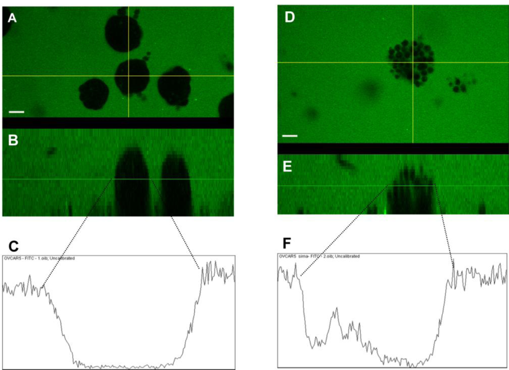 Ijms 12 01334f9 1024