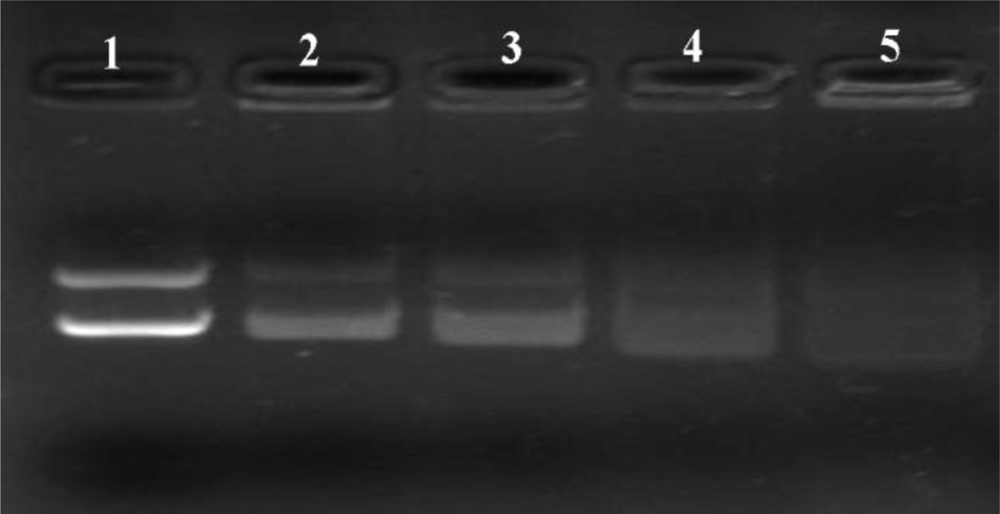 Ijms 12 01371f5 1024