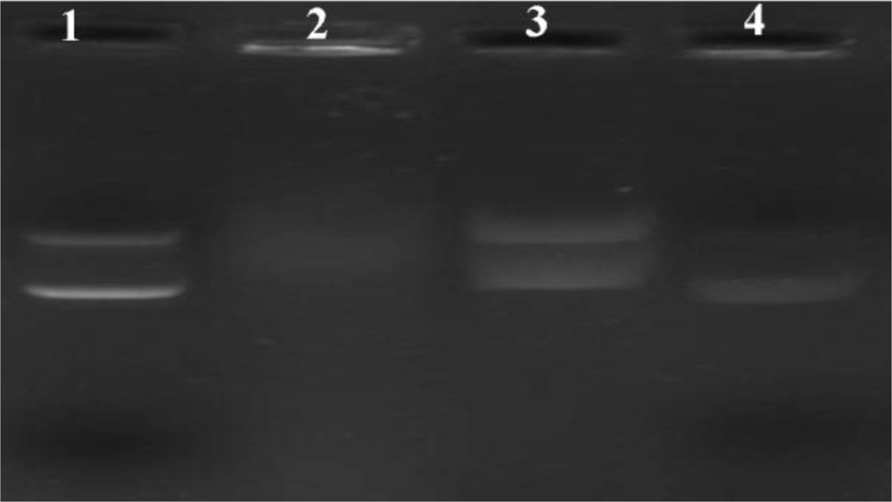 Ijms 12 01371f6 1024