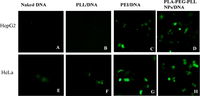 Ijms 12 01371f9 200