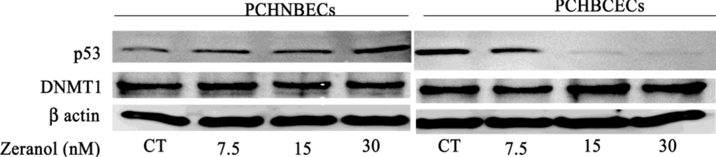 Ijms 12 01519f4 1024