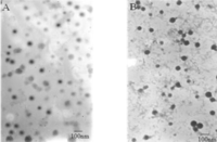 Ijms 12 01684f1 200