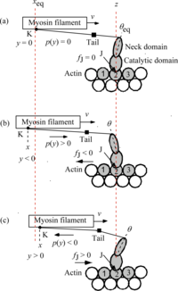 Ijms 12 01697f4 200