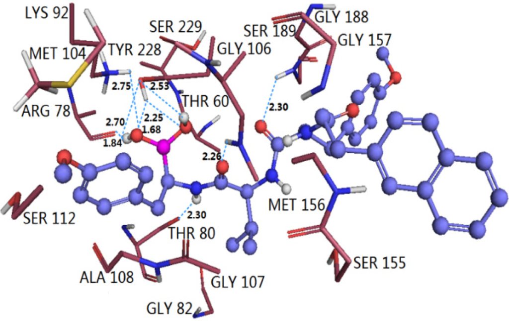 Ijms 12 01807f9 1024