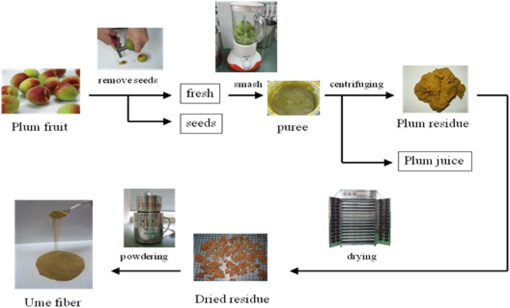 Dietary Fibre Function