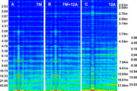 Ijms 12 02138f4 200