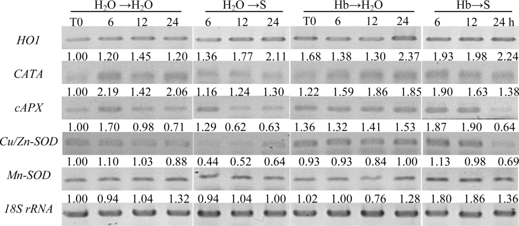 Ijms 12 02488f2 1024