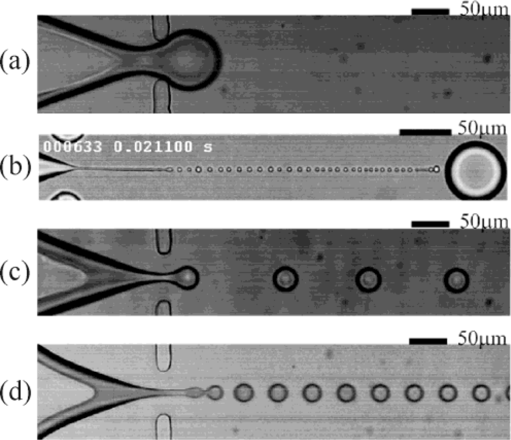 Ijms 12 02572f6 1024