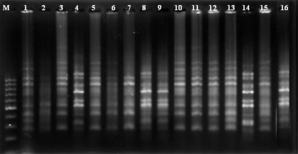 Ijms 12 02664f2 1024