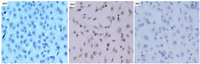 Ijms 12 02994f1 200