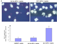 Ijms 12 02994f4 200