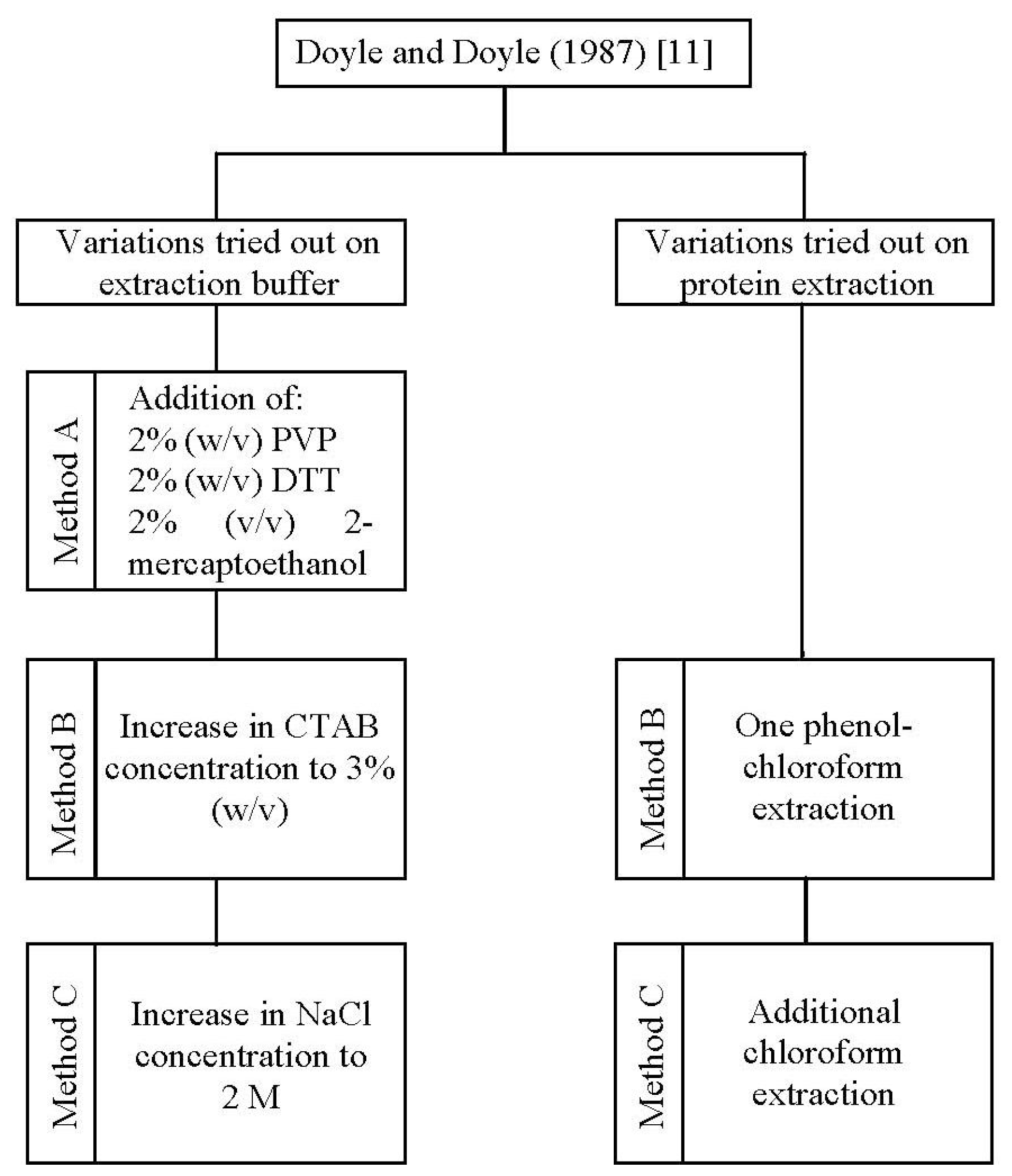 ijms free full text extraction