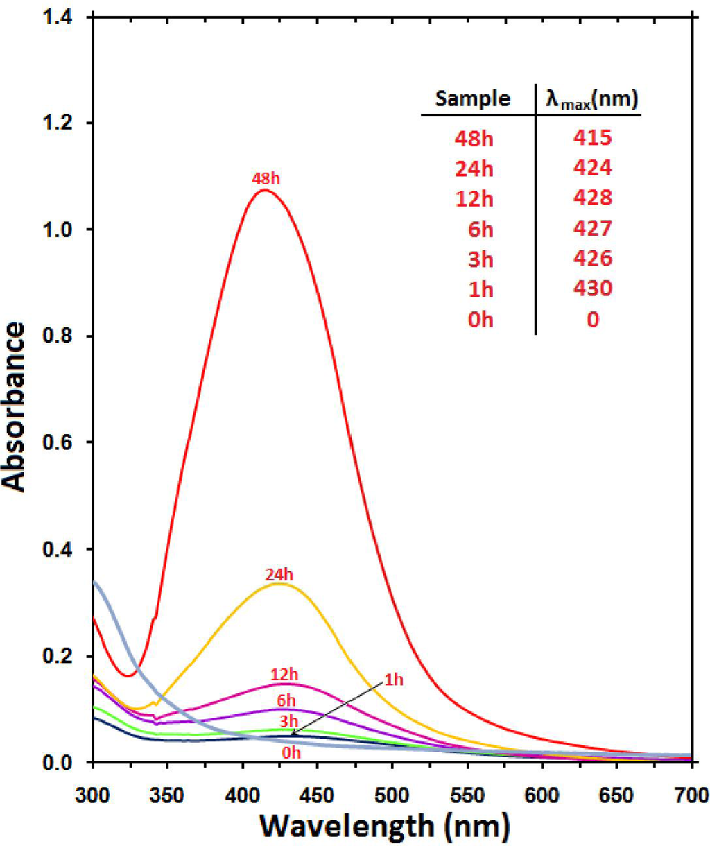 google scholar google scholar