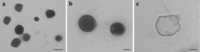 Ijms 12 05039f1 200