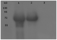 Ijms 12 07314f2 200