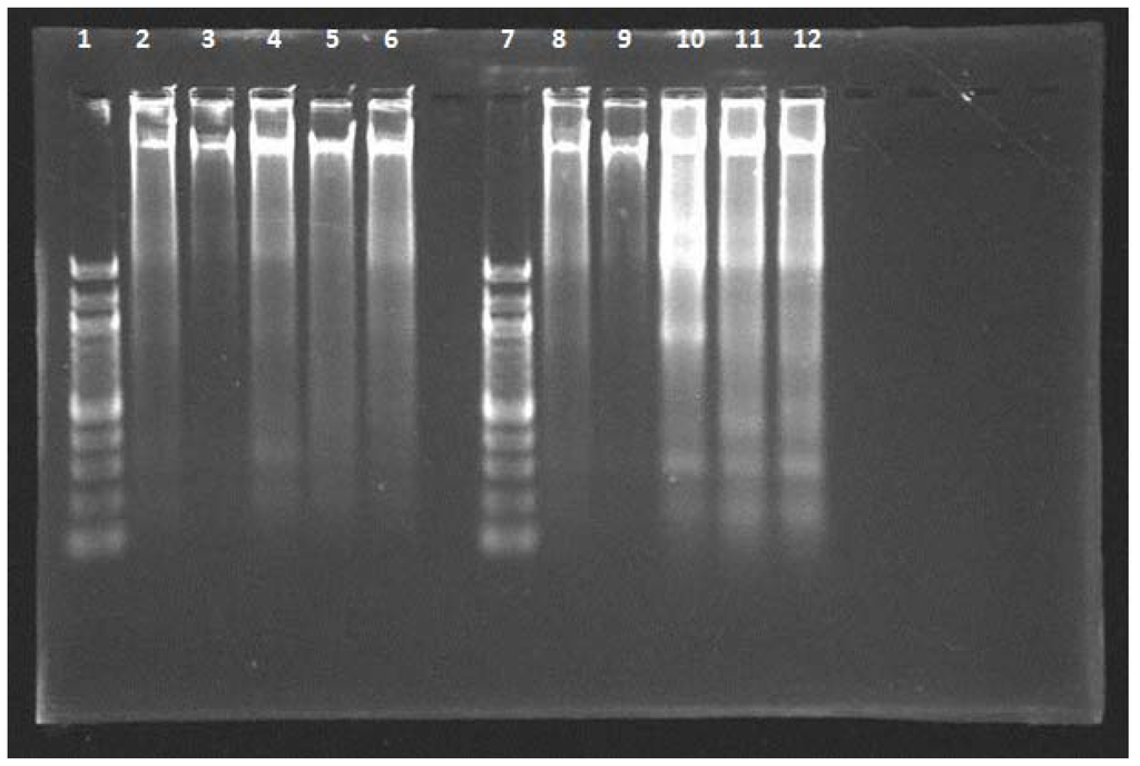Ijms 12 08645f3 1024