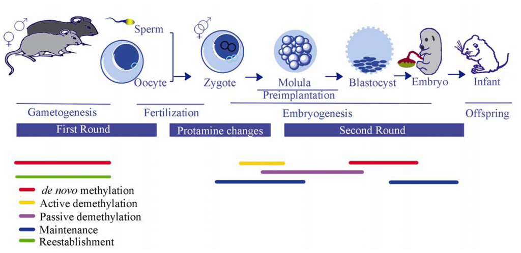 buy mims pathogenesis of infectious disease