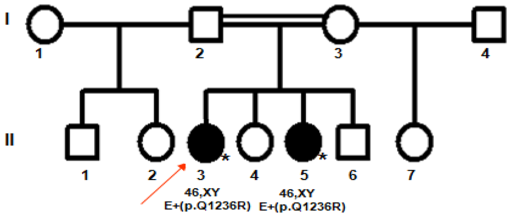 Ijms 12 09471f3 1024