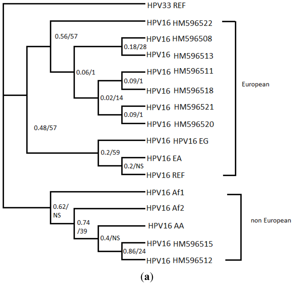 Ijms 13 00001f1a 1024