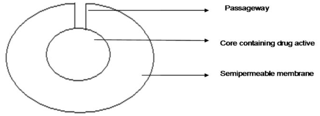 Ijms 13 00018f8 1024