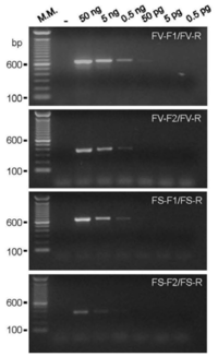 Ijms 13 00115f1 200