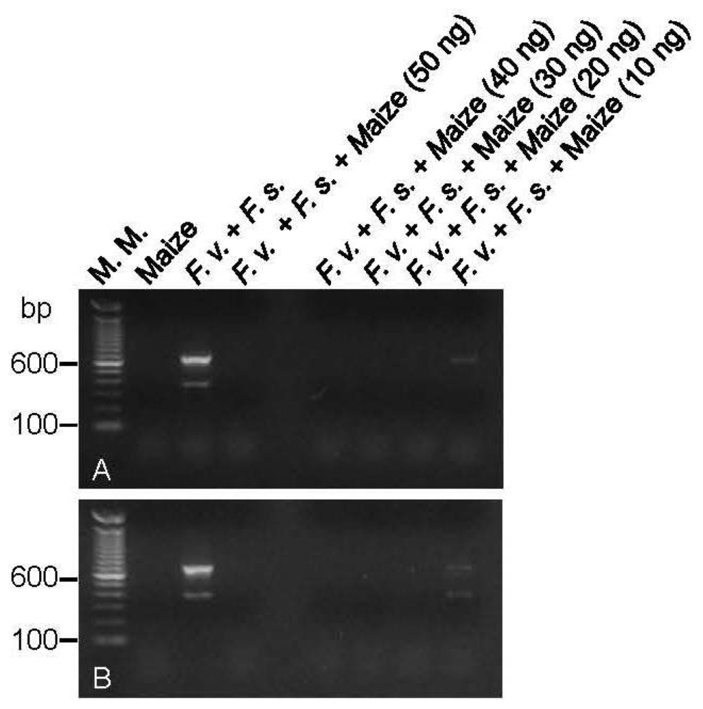Ijms 13 00115f5 1024