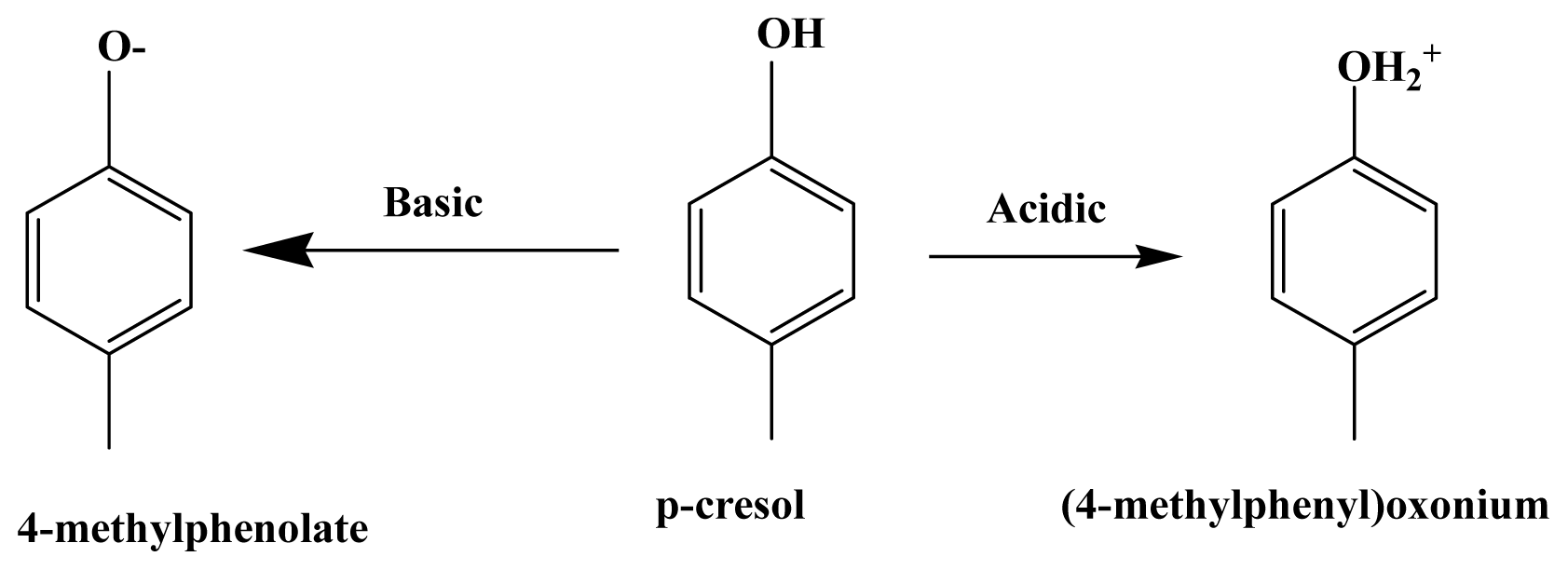 Ijms 13 00302e1