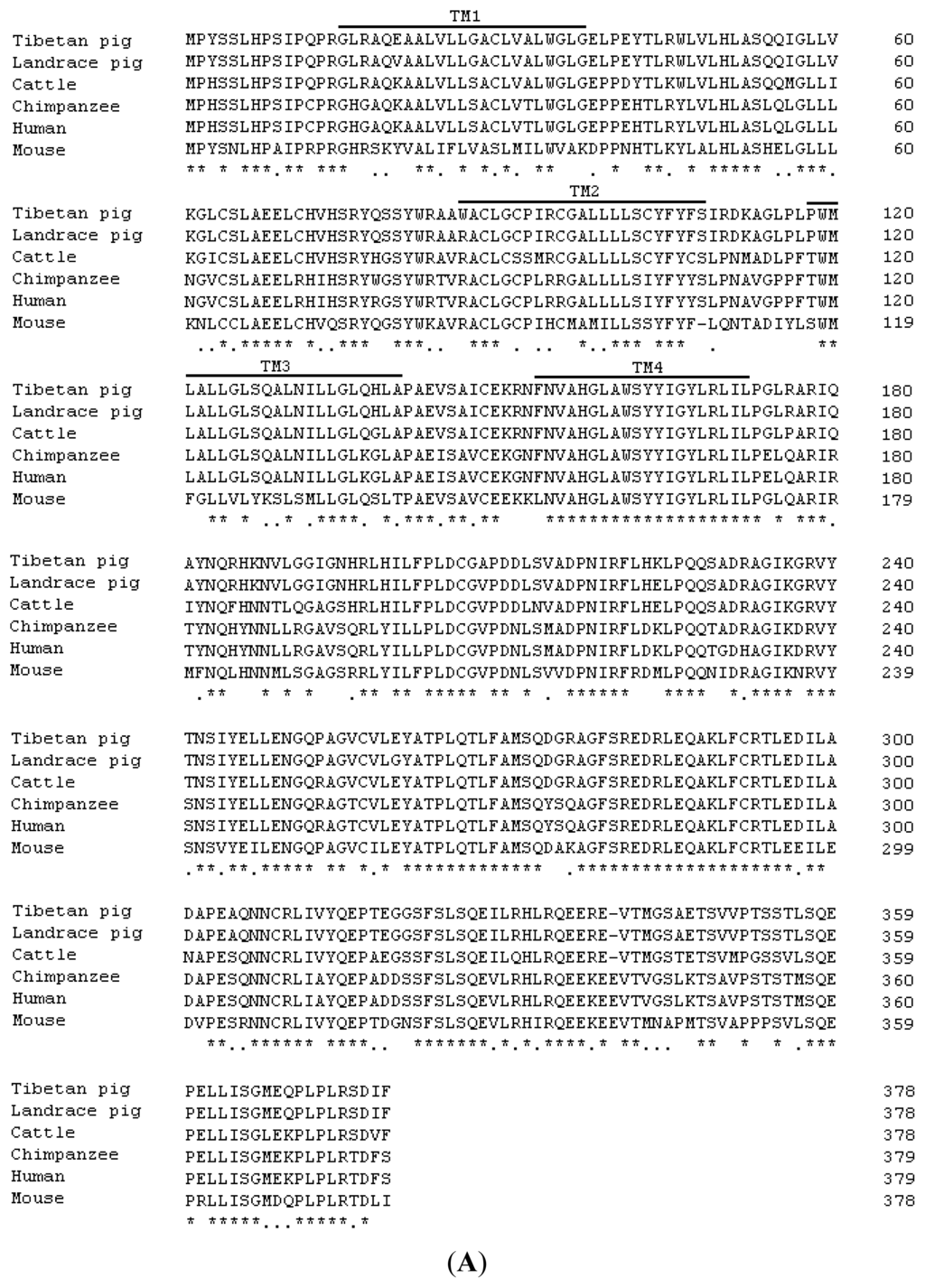 Ijms 13 00506f1a 1024