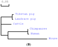 Ijms 13 00506f1b 200