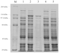 Ijms 13 00540f2 200