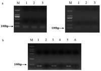 Ijms 13 00612f1 200
