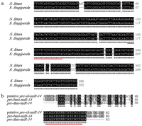Ijms 13 00612f2 200