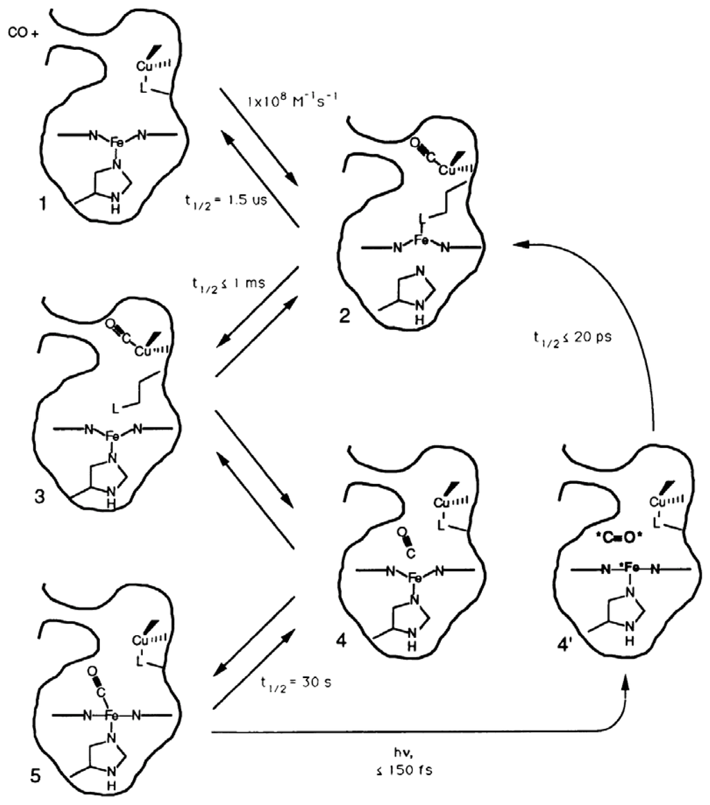 Ijms 13 00683f4 1024