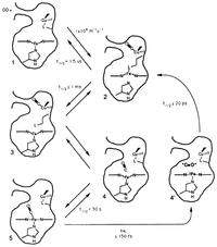 Ijms 13 00683f4 200