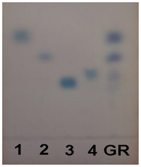 Ijms 13 00698f1 200