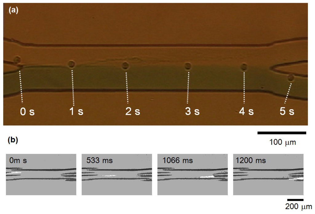 Ijms 13 00819f4 1024