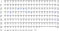 Ijms 13 00879f2 200