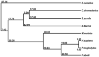 Ijms 13 00879f4 200